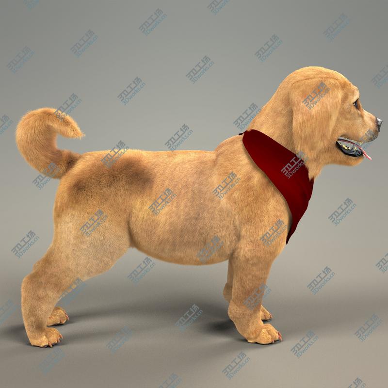 images/goods_img/2021040232/Retriever Puppy with Fur/3.jpg